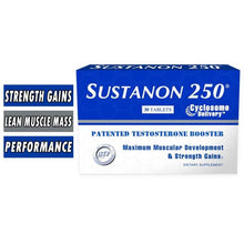 Load image into Gallery viewer, Sustanon 250
